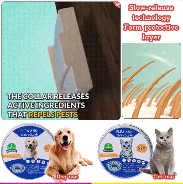 [Keep Pets Healthy]🐈 🐕Pest repellent collar✔️Adjustable✔️Valid for 8 months